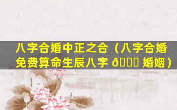 八字合婚中正之合（八字合婚免费算命生辰八字 🐟 婚姻）